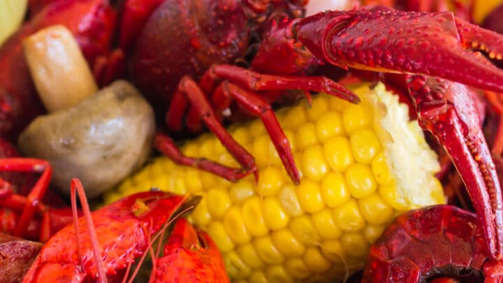 https://thecaglediaries.com/wp-content/uploads/2020/04/Boiled-Crawfish-Featured-Image-720x405.jpg
