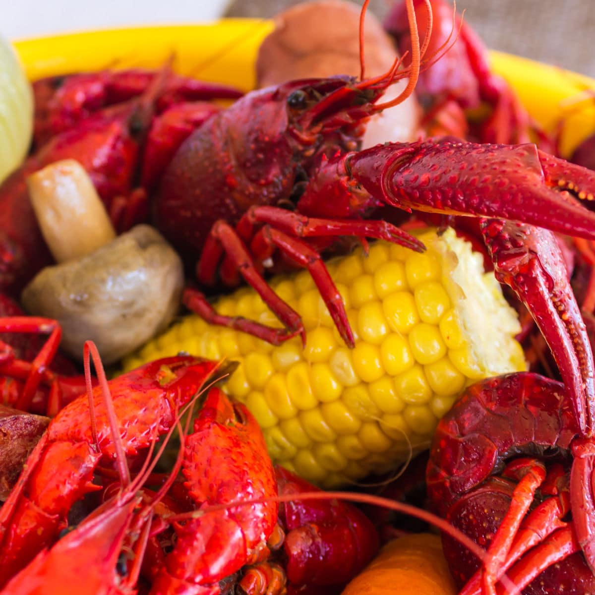 Martie Knows Parties - BLOG - Labor-Free Labor Day Party Ideas: One Pot Seafood  Boil