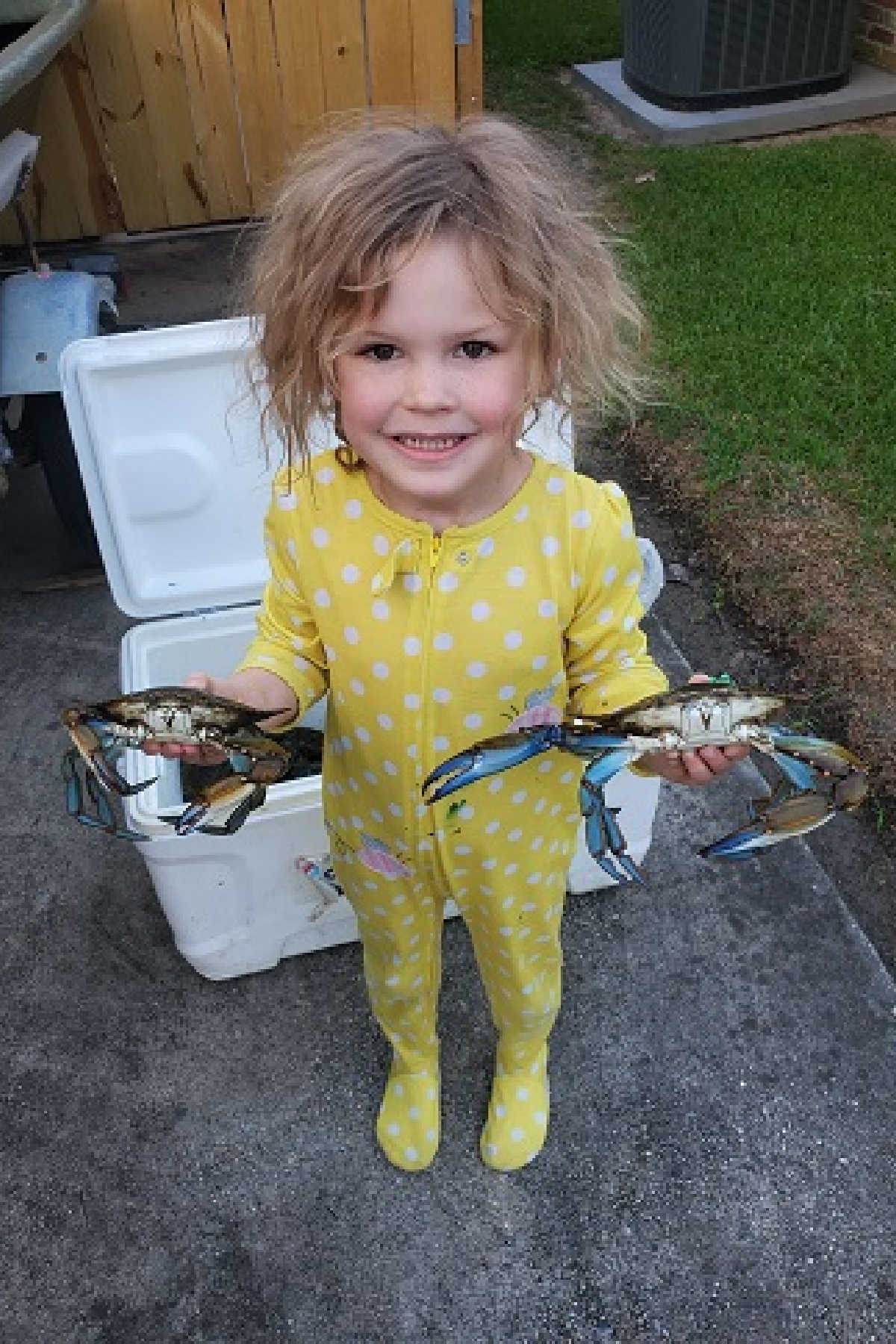 little girl in yellow pyjamas holding two blue crabs