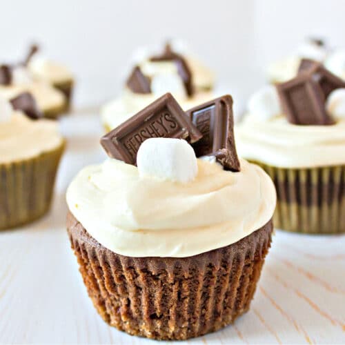 smores cupcakes lined up with a marshmallow and piece of chocolate on top