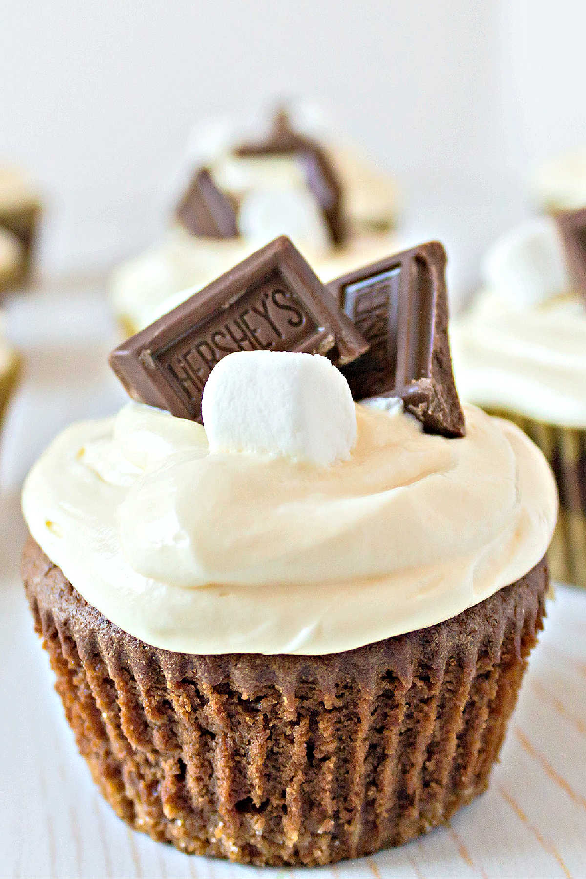 close up ofsmores cupcakes lined up with a marshmallow and piece of chocolate on top