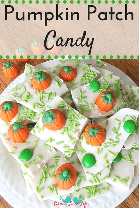 White Chocolate bark with green sprinkles to look like grass.  Pumpkins scattered to make it look like a pumpkin patch, broken pieces heaped on a white dish.
