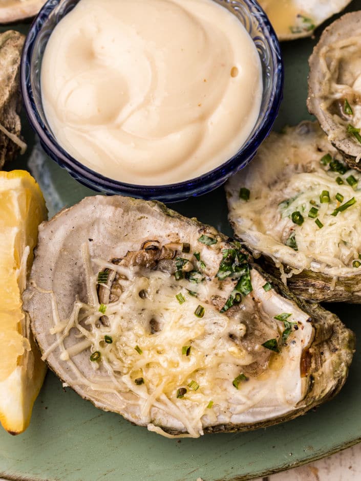 green plate with chargrilled oysters ready to eat with horseradish dip