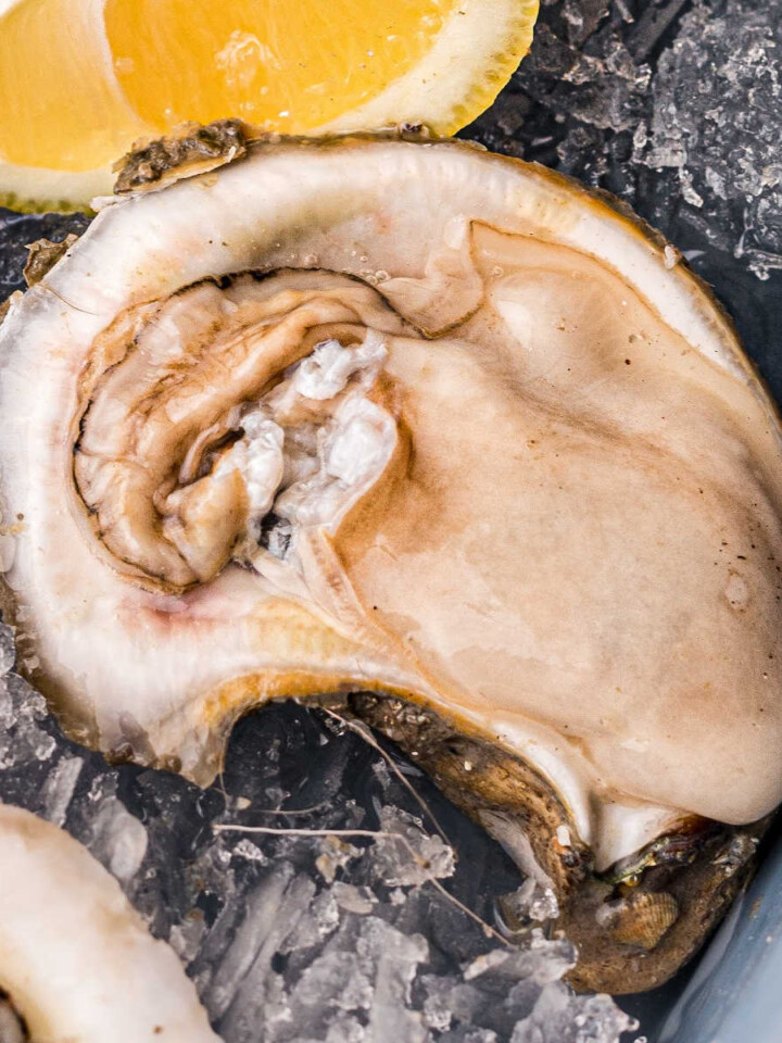 a raw oyster on ice with a lemon in the background