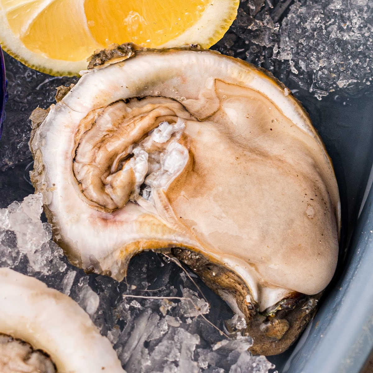Oysters: What do they taste like - and how to eat them