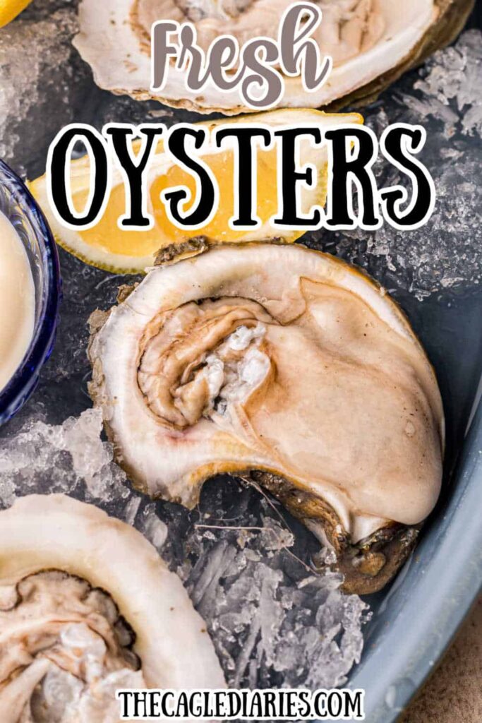 Where to Buy Fresh Oysters Online