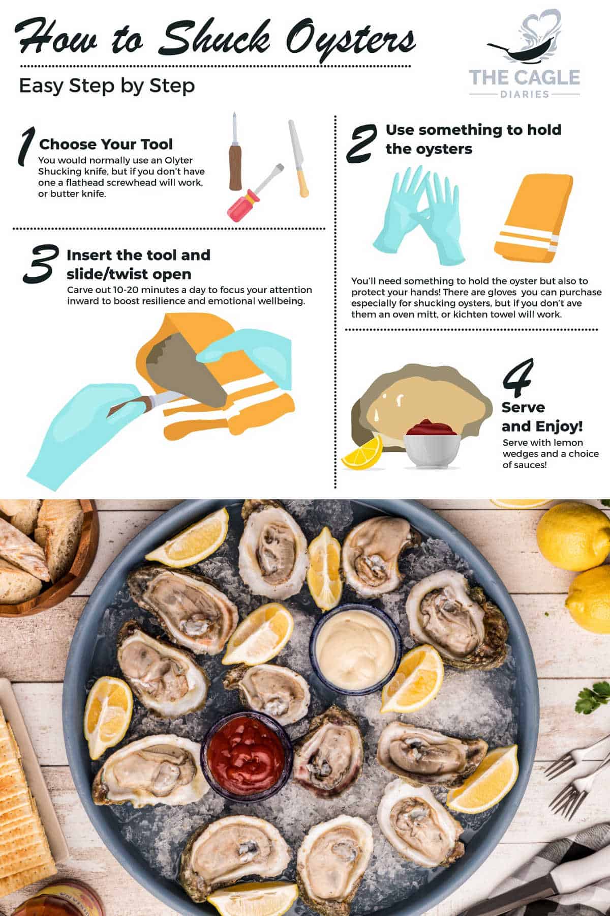 how to shuck oysters infographic