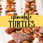 chocolate turtle pin