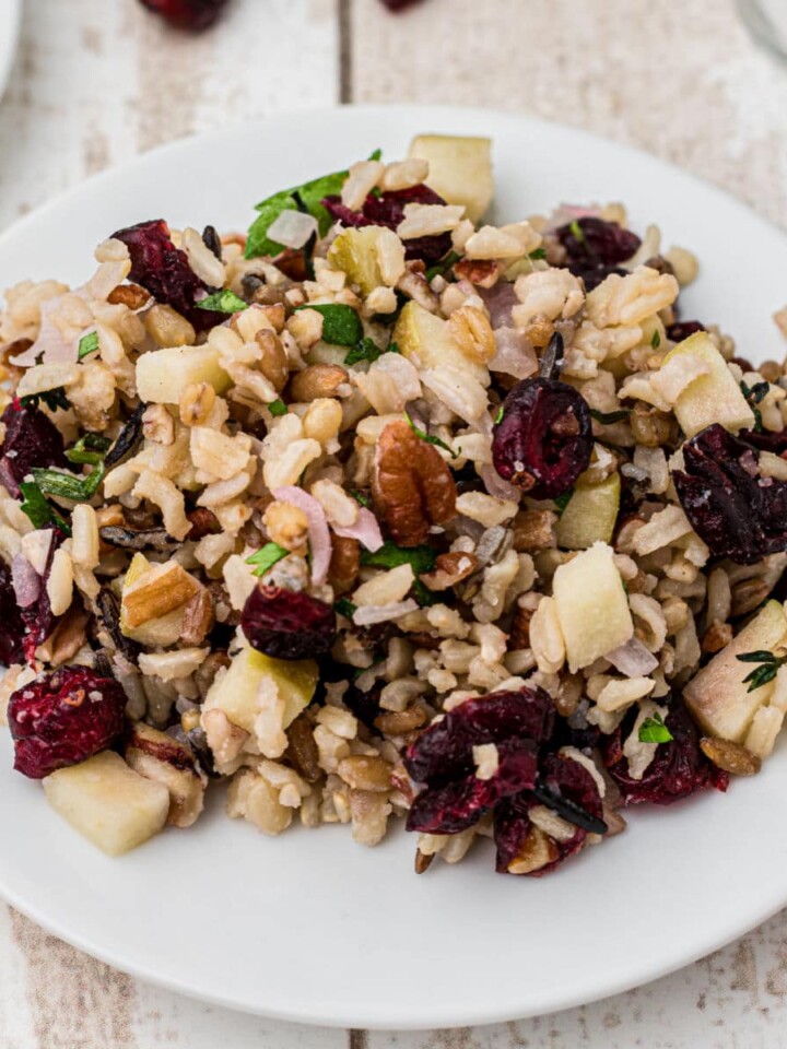 close up of a dished out plate of cranberry apple rice pilaf