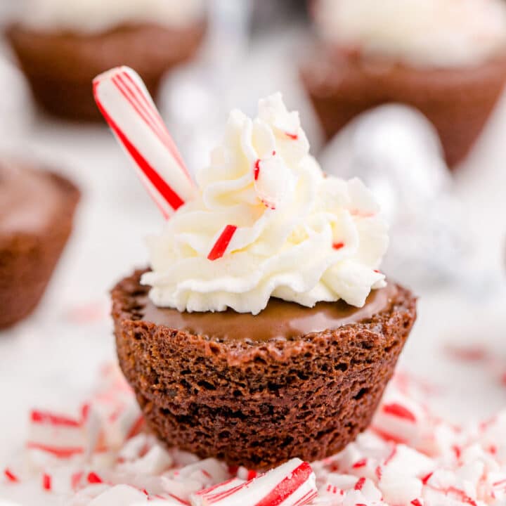 close up of a hot chocolate brownie, with whipped cream on the top scattered with peppermint sticks