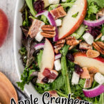 close up of an apple cranberry salad, a thanksgiving salad