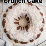 a louisiana crunch cake on a cake stand looking down from overhead, with icing and coconut