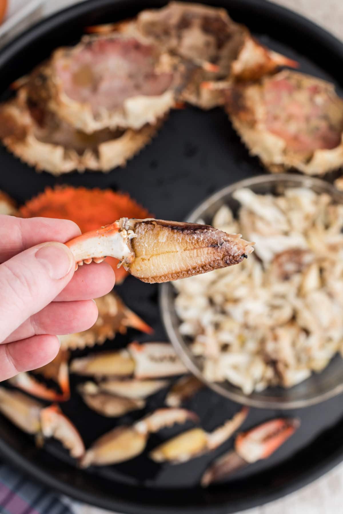 hand holding up a peeled crab claw full of meat - stuffed crab recipe