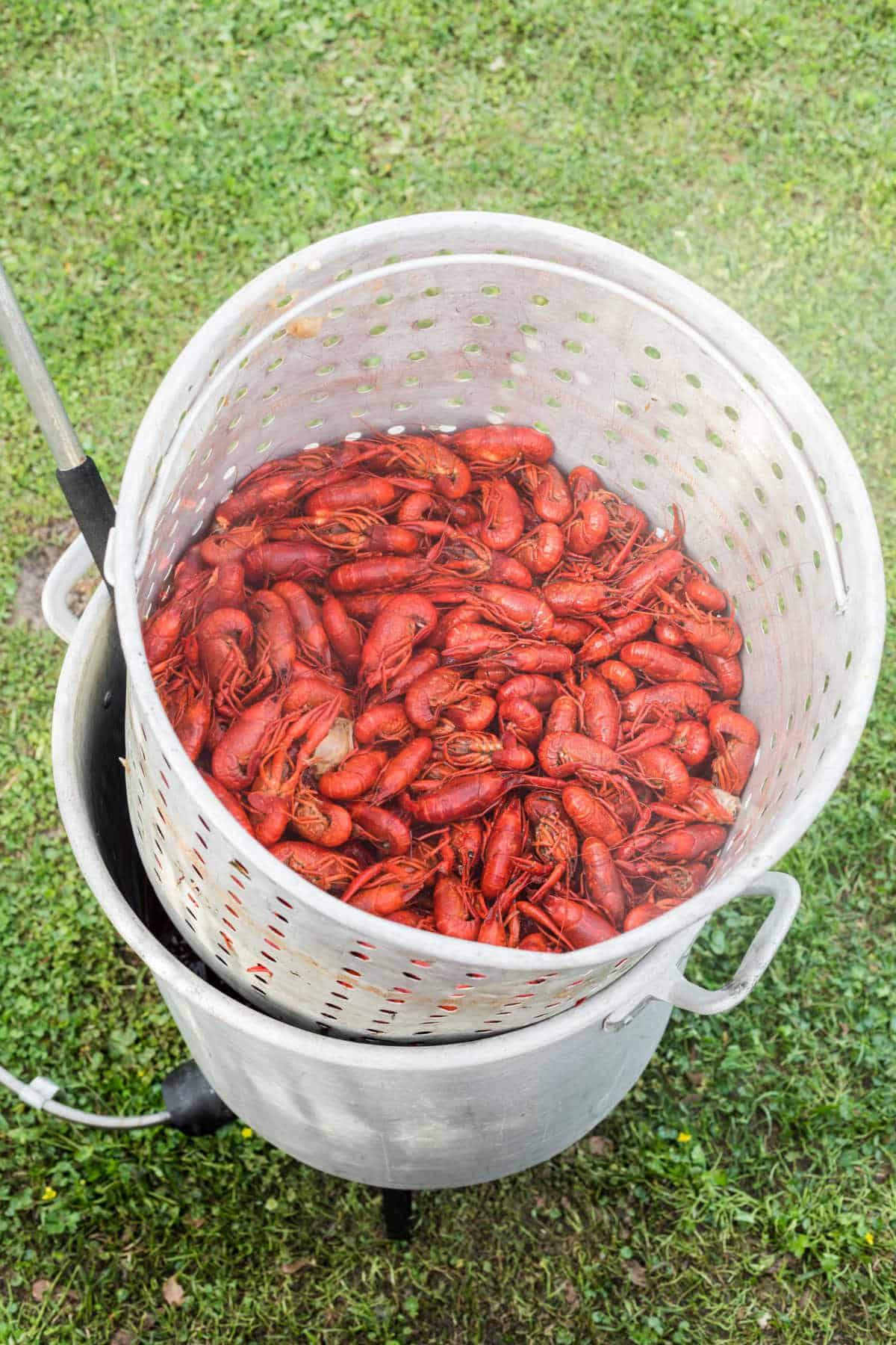 a boiling pot full of boiled crawfish