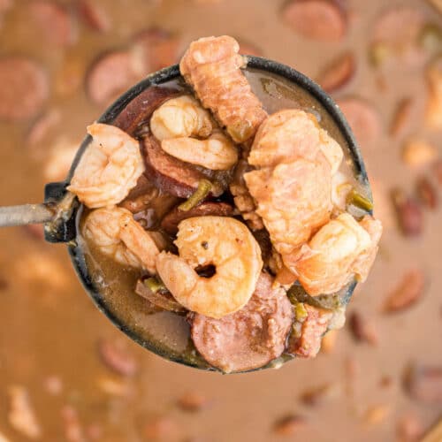 a ladle full of alligator gumbo - with shrimp alligator and sausage