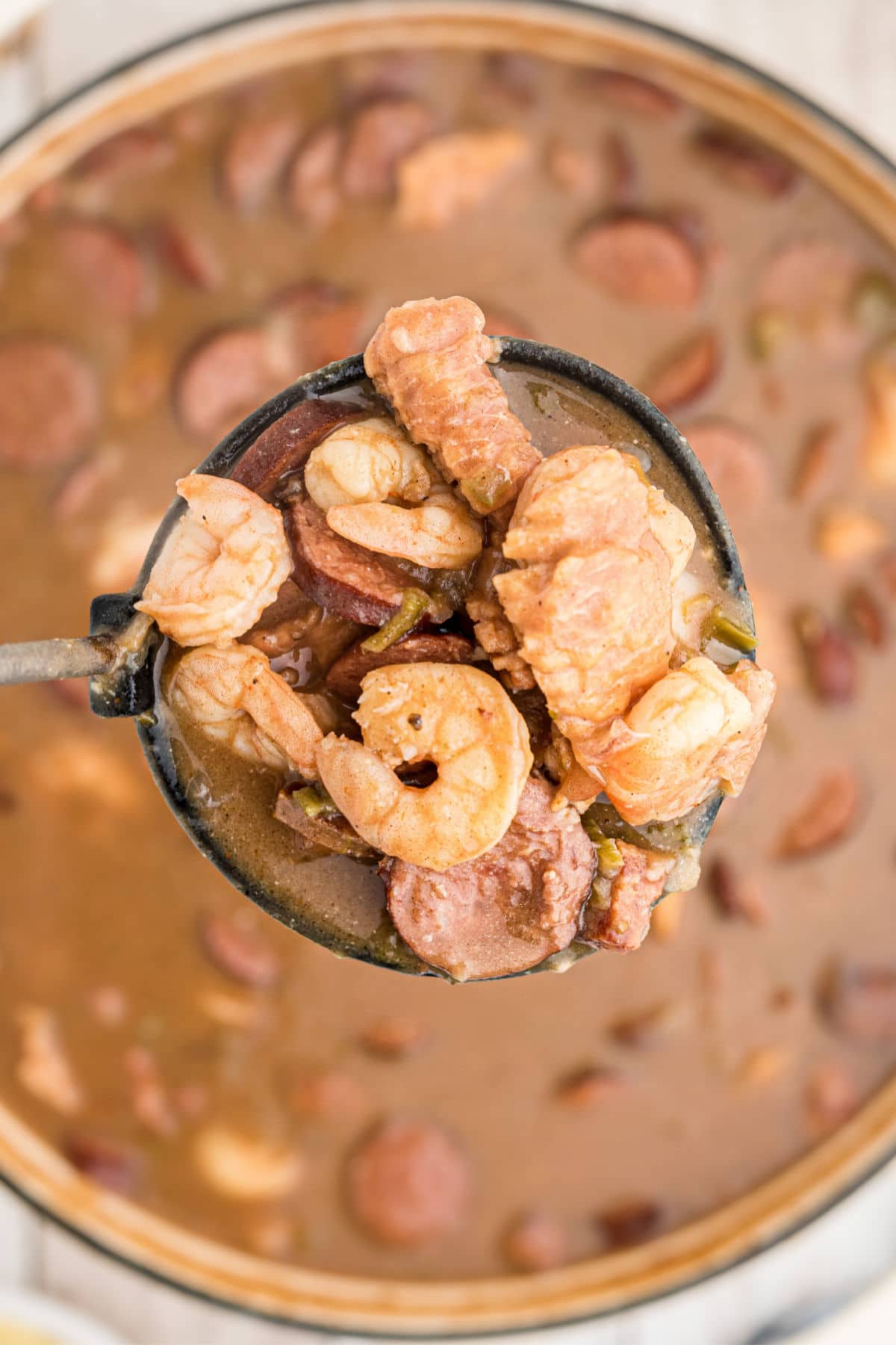 a ladle full of alligator gumbo - with shrimp alligator and sausage