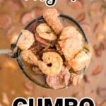 a ladle full of alligator gumbo - with shrimp alligator and sausage