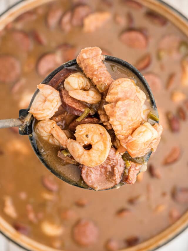 cropped-Alligator-gumbo.jpg