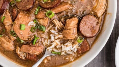 https://thecaglediaries.com/wp-content/uploads/2022/05/Chicken-and-Gumbo-Sausage-Recipe-Featured-Image-480x270.jpg