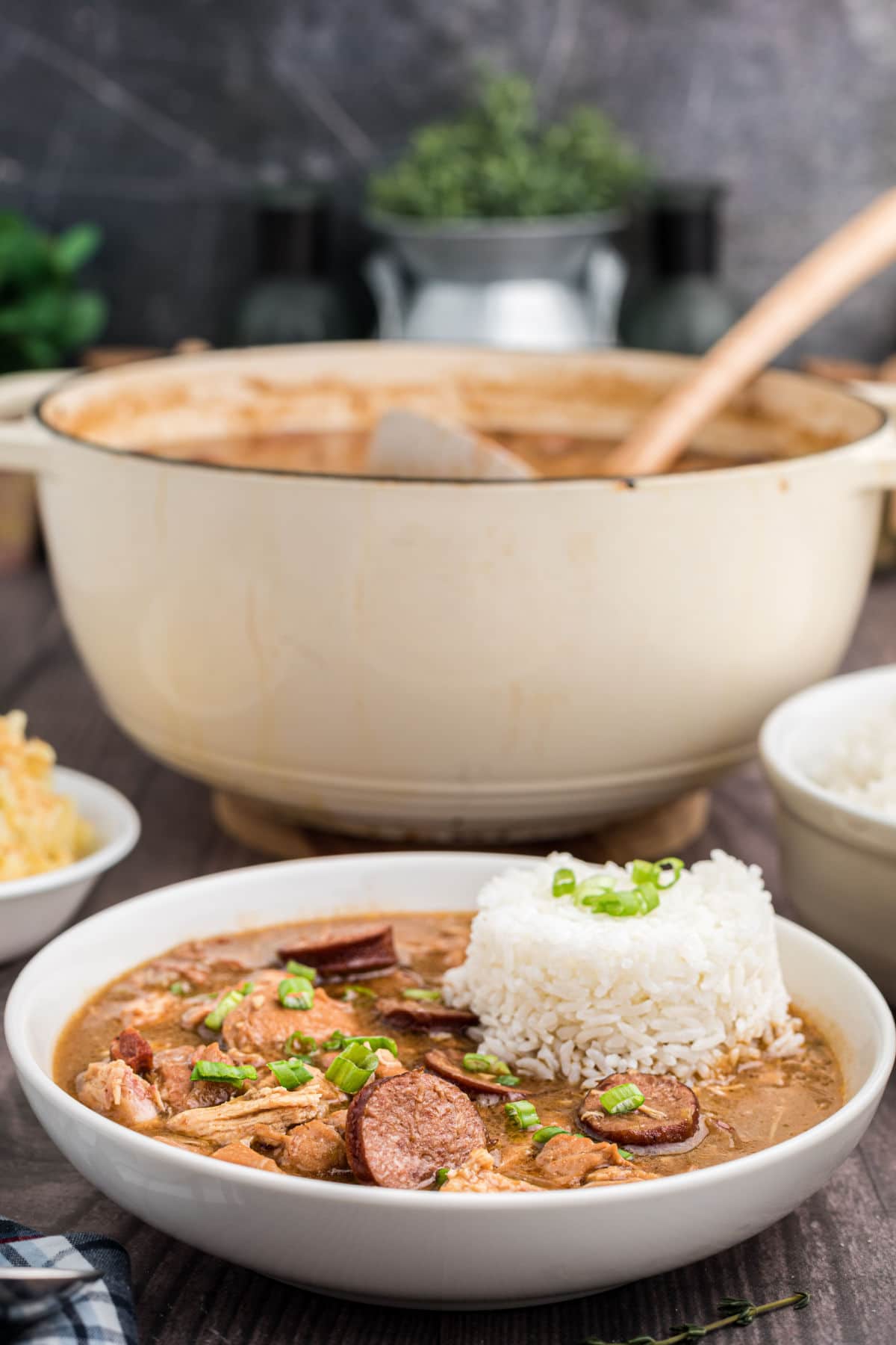 a bowl of chicken and sausage gumbo with a scoop of rice on top, in the background is the pot with a ladle sticking out