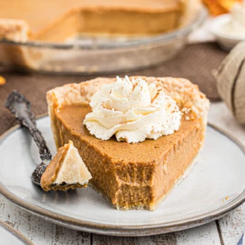 close up of an Amish pumpkin pie with a fork having just taken a piece from the front of the pie - a dollop of cream on top
