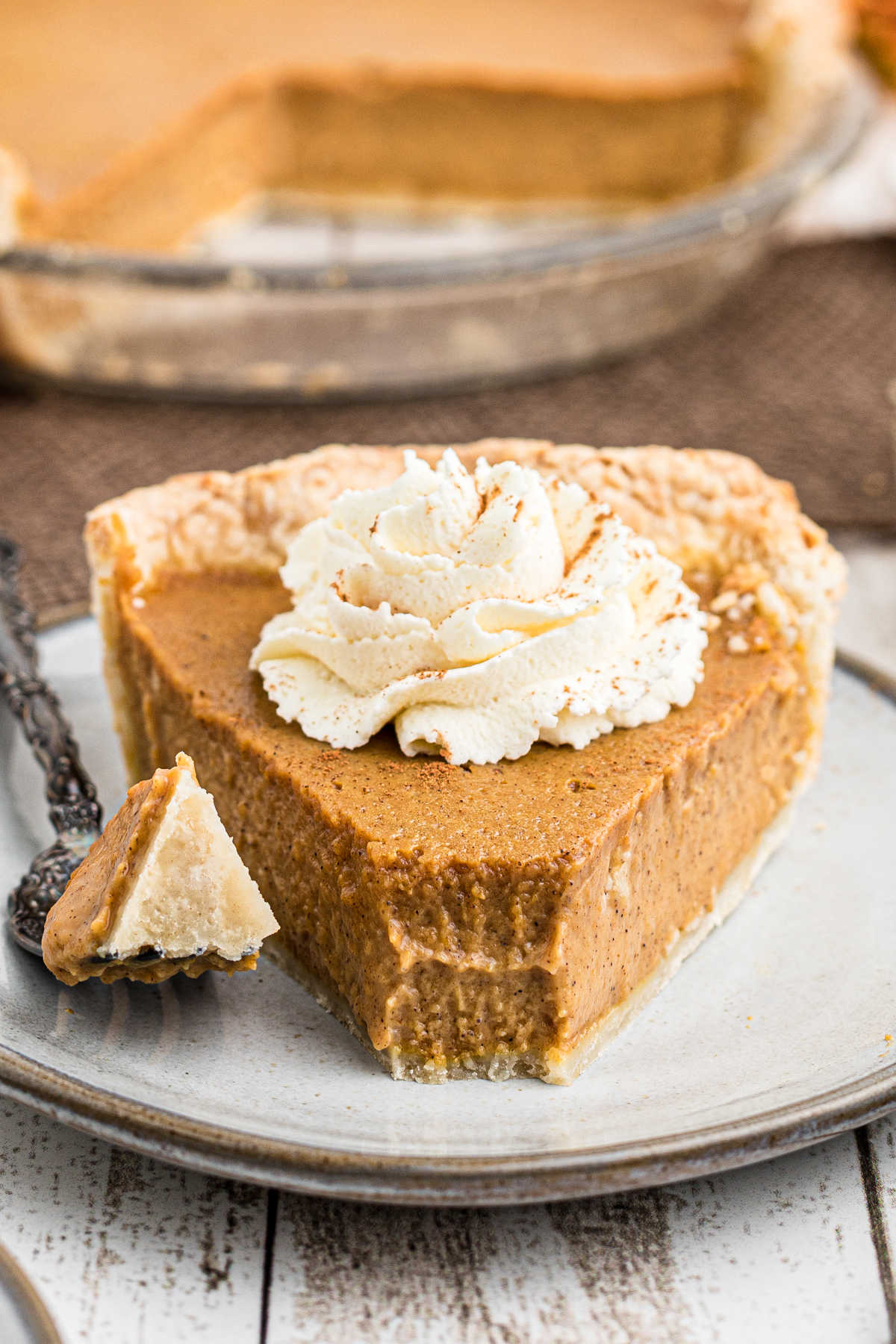 close up of an Amish pumpkin pie with a fork having just taken a piece from the front of the pie - a dollop of cream on top