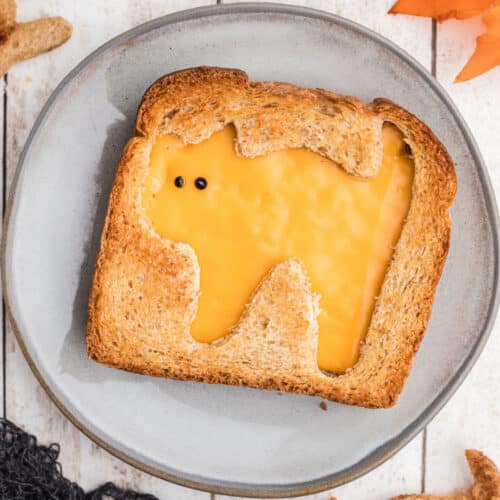 Close up overhead shot of a halloween grilled cheese with a cat.