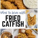 A collage of four images of fried catfish with a text overlay title.