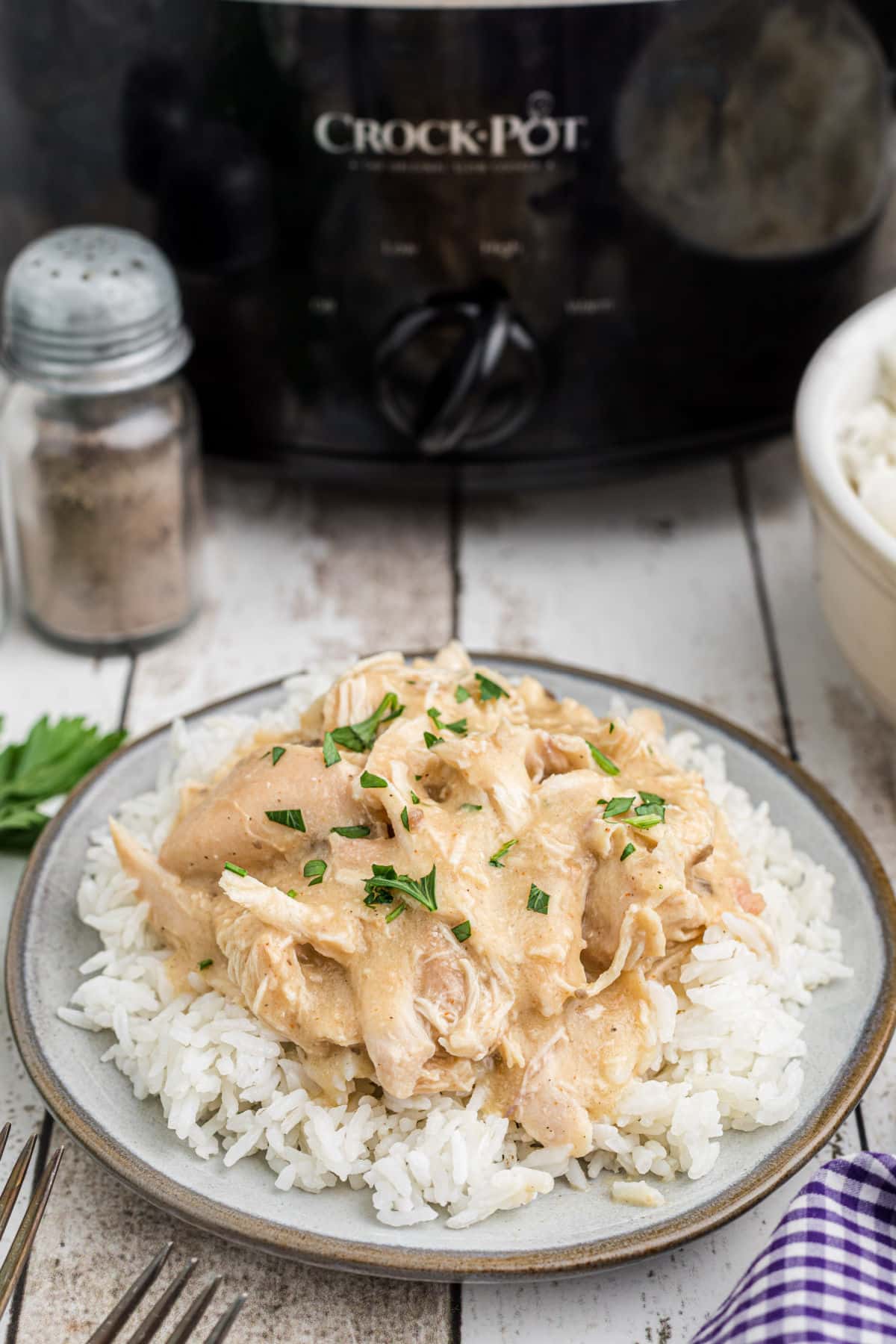 A dished up plate of chicken and gravy on rice in front of a crock pot.