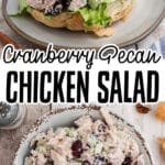 A long image of a cranberry pecan chicken salad and a croissant, with text overlay for pinterest.