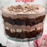 Close up of a nutella trifle with text overlay for Pinterest.