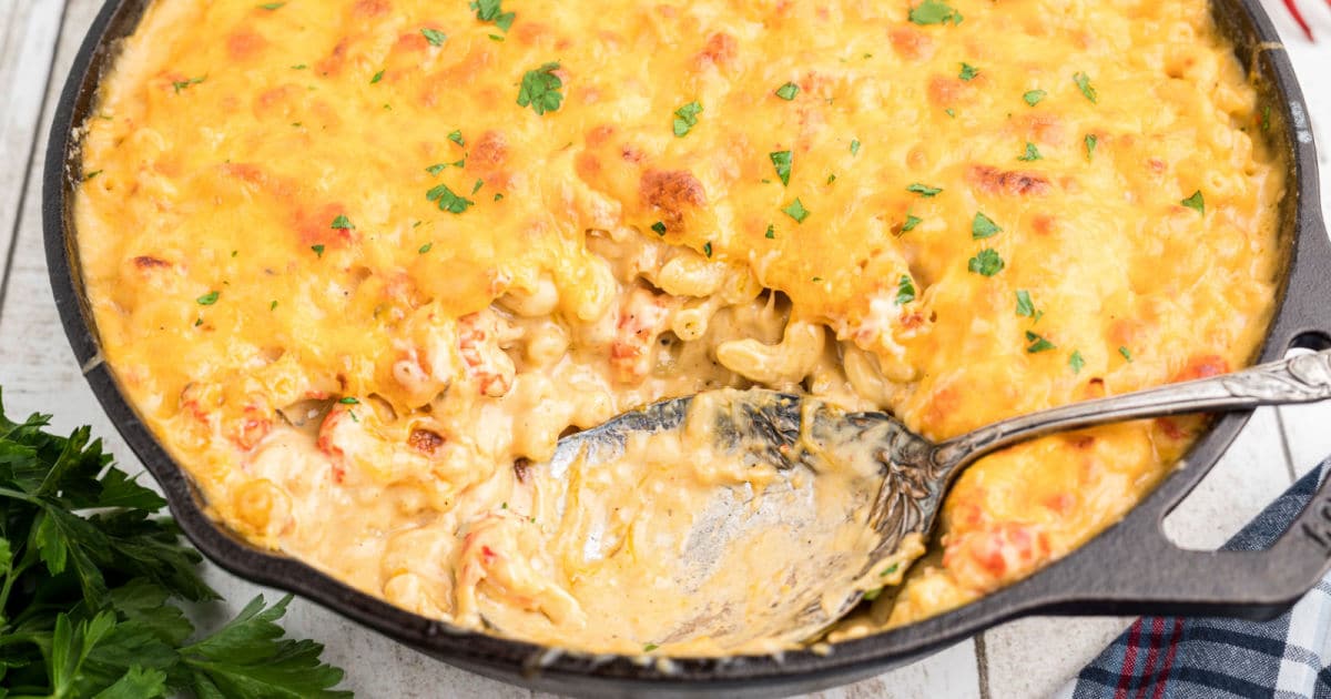 Crawfish Mac and Cheese | The Cagle Diaries
