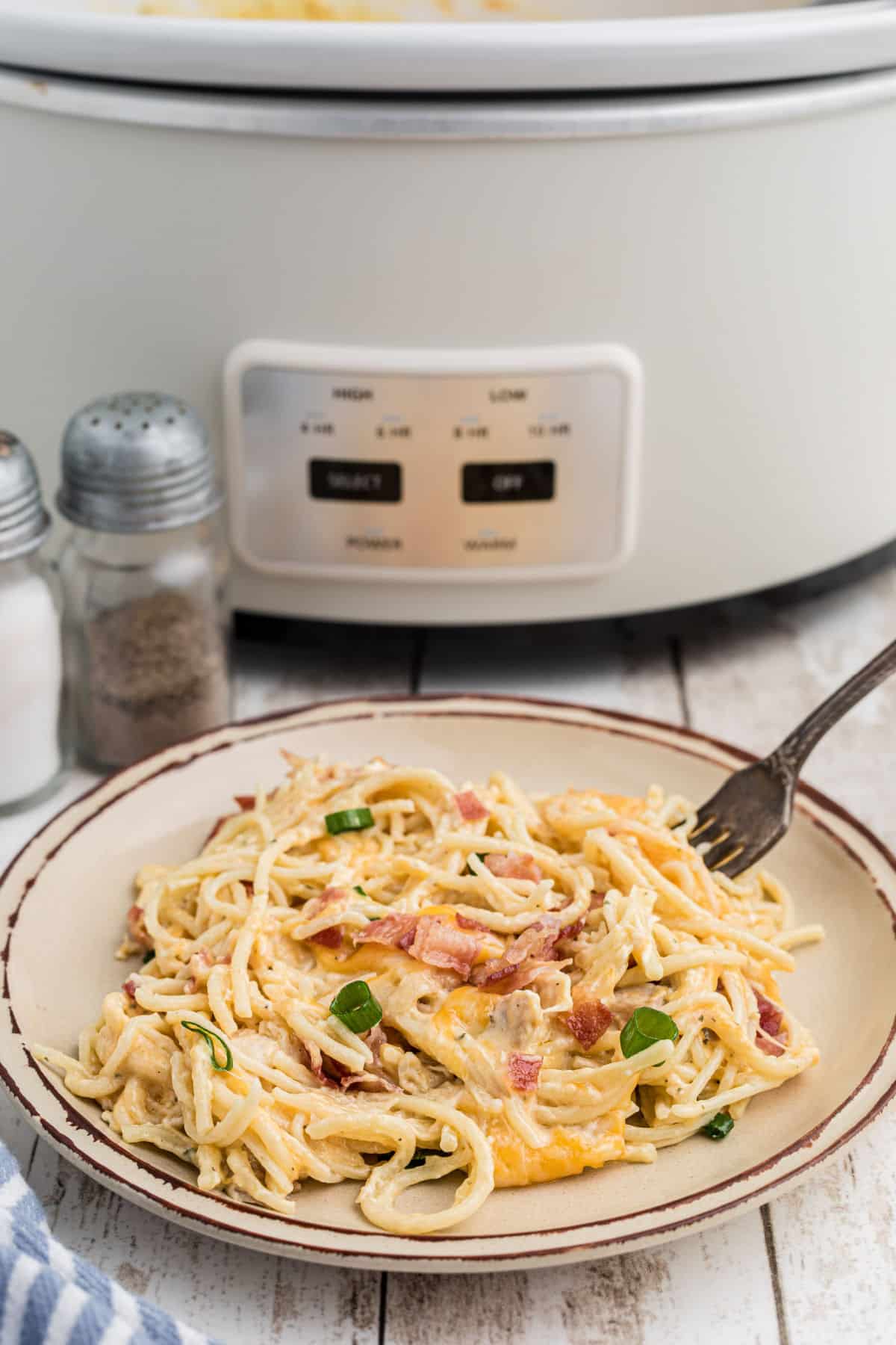 A plated crock pot ranch chicken spaghetti on a plate.