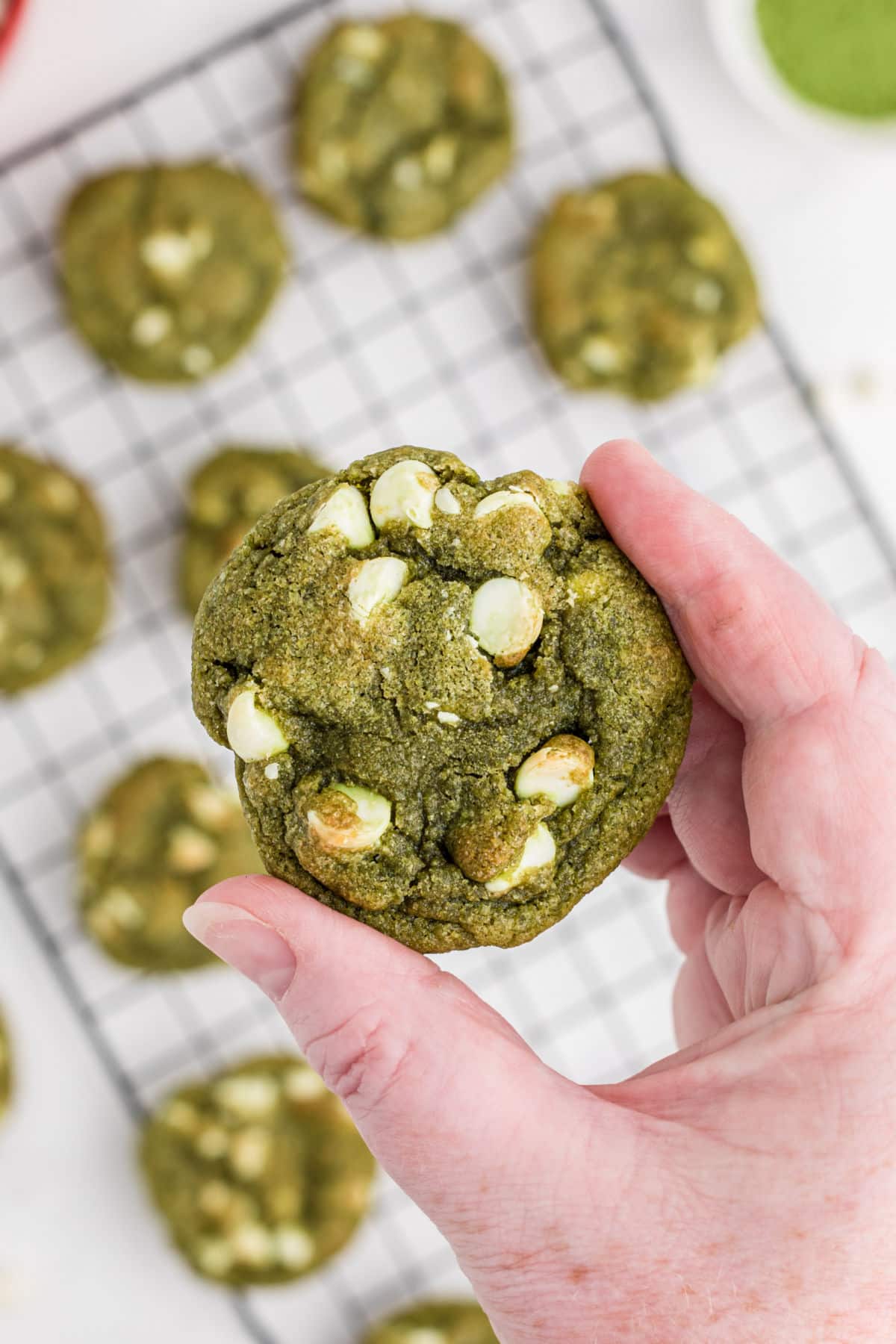 A hand holding up a matcha cookie.