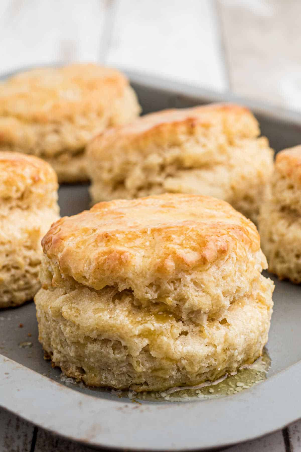 Side angle of a tray full of old fashioned southern biscuits.