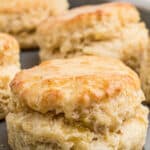 A close up long image of old fashioned southern biscuits with text overlay for pinterest.