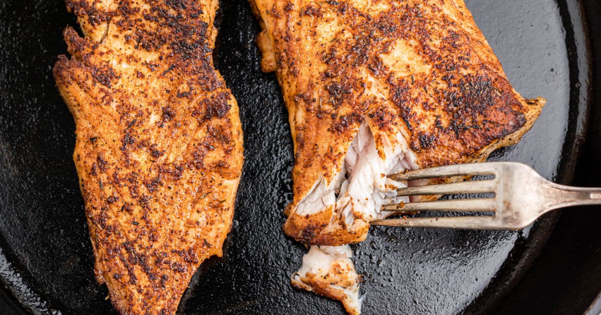 Close up of some blackened redfish with a fork digging in.