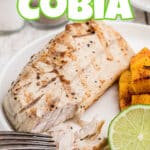 A close up of a fillet of grilled cobia with a fork digging in, with text overlay for Pinterest.