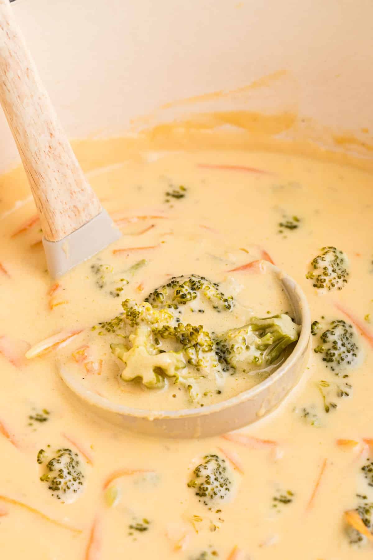 Close up shot of a broccoli cheddar soup in a ladle.