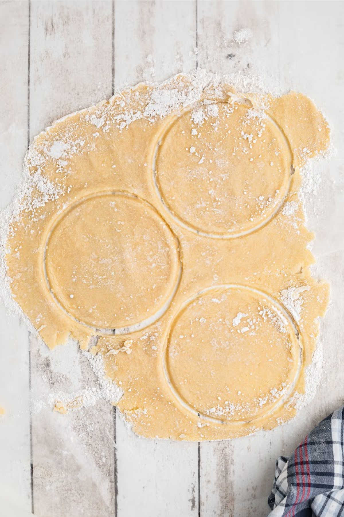 Pie pastry rolled out and small rounds cut out.