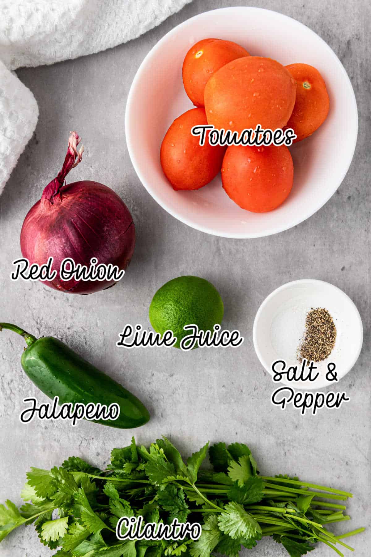 Ingredients needed to make a salsa fresca recipe.