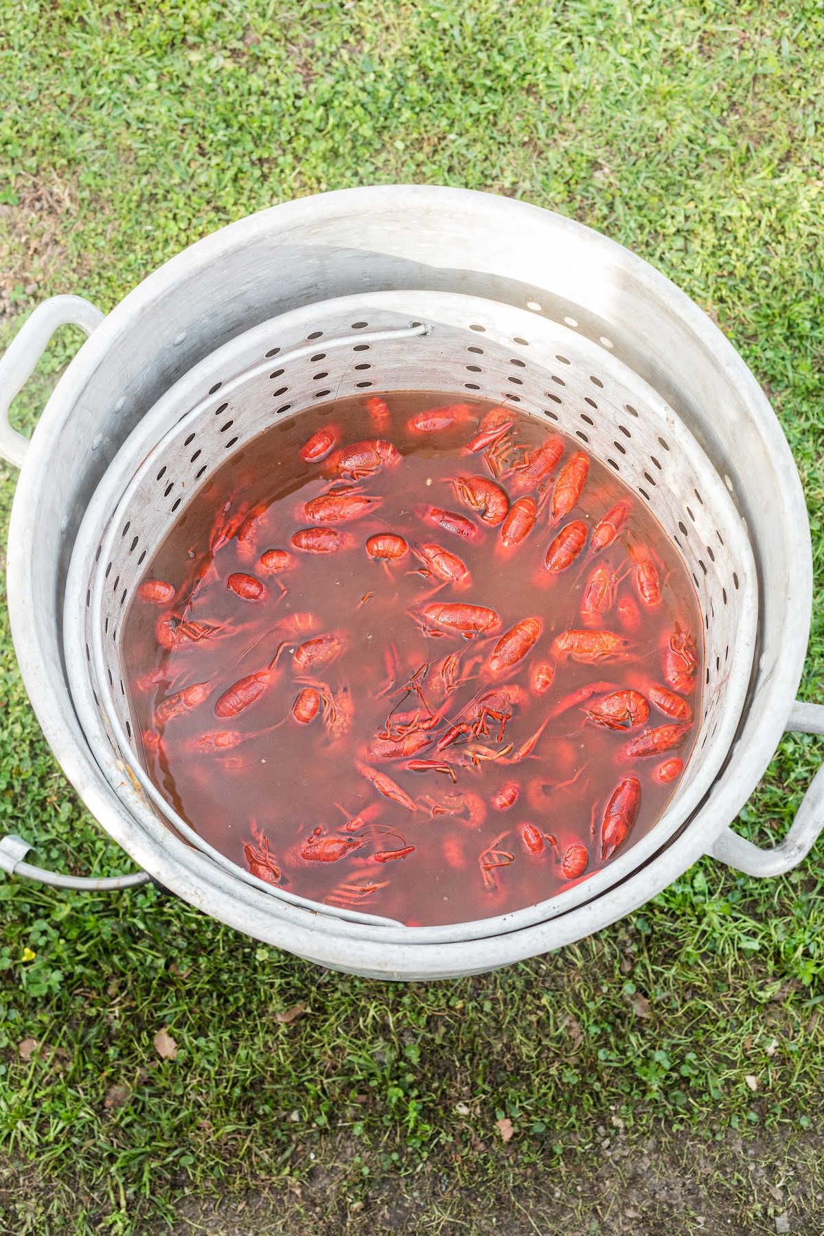 A large boiling pot with boiled crawfish and water.
