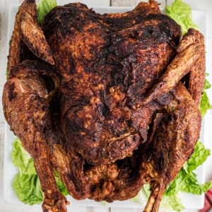 An overhead shot of deep fried turkey, cropped square.