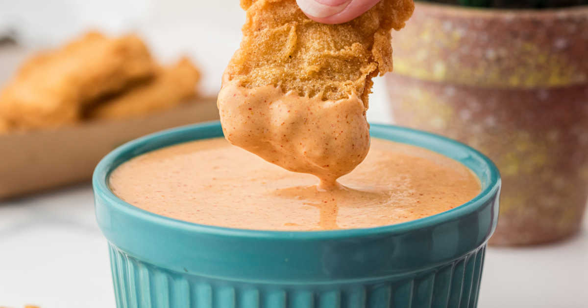 McDonald's Cajun Sauce Recipe - The Cagle Diaries